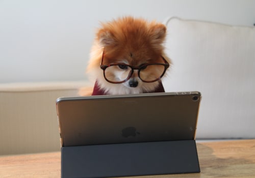 Using the 80/20 Rule for Efficient and Effective Learning